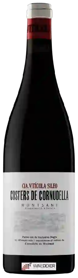 Winery AT Roca - Costers de Cornudella