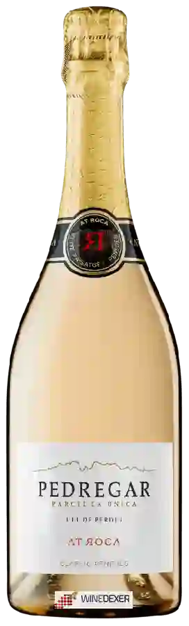 Winery AT Roca - Pedregar Winery AT Roca - Pedregar