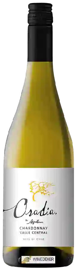 Winery Agustinos - Osadía Chardonnay Winery Agustinos - Osadía Chardonnay