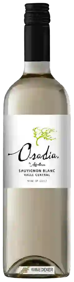 Winery Agustinos - Osadia Sauvignon Blanc