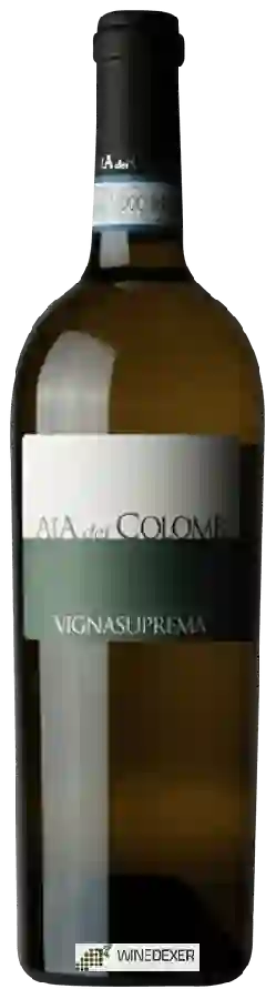 Winery Aia dei Colombi - Vignasuprema
