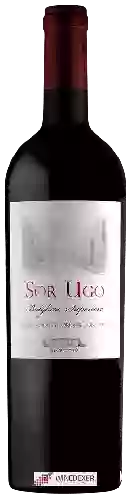 Winery Aia Vecchia - Sor Ugo Bolgheri Superiore