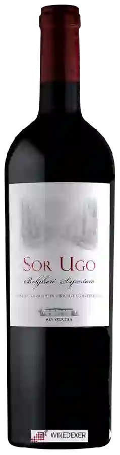 Winery Aia Vecchia - Sor Ugo Bolgheri Superiore Winery Aia Vecchia - Sor Ugo Bolgheri Superiore