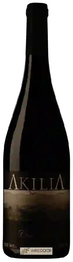 Winery Akilia - Chano Villar Winery Akilia - Chano Villar