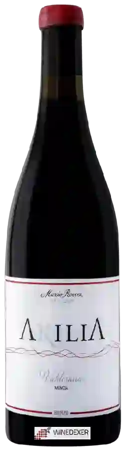 Winery Akilia - Valdesacia Mencia