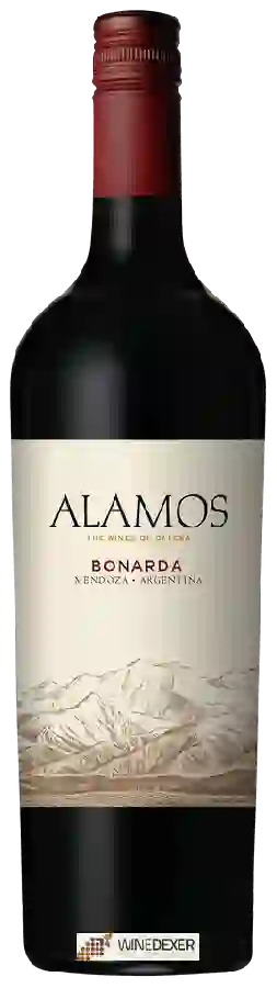 Winery Alamos - Bonarda