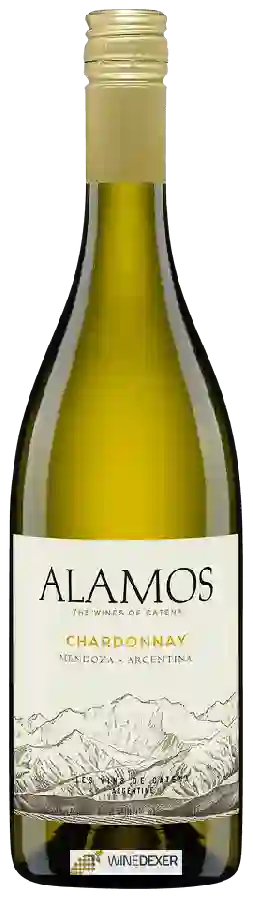 Winery Alamos - Chardonnay