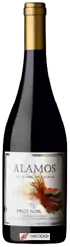 Winery Alamos - Pinot Noir
