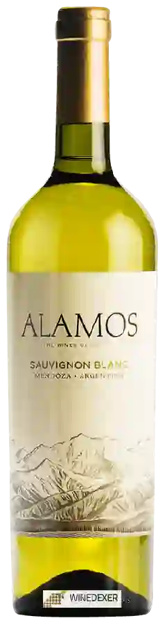 Winery Alamos - Sauvignon Blanc