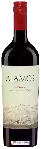 Winery Alamos - Syrah