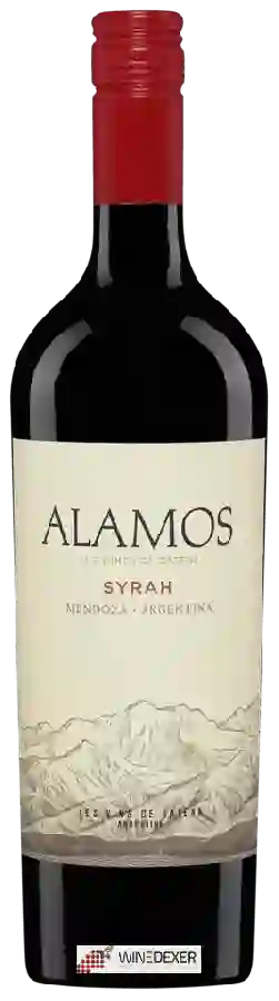 Winery Alamos - Syrah