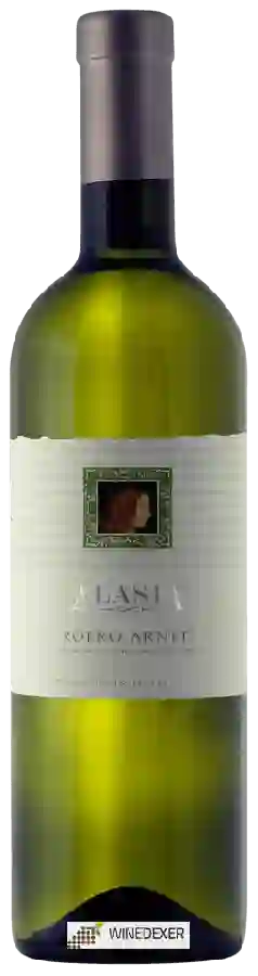 Winery Alasia - Arneis Roero