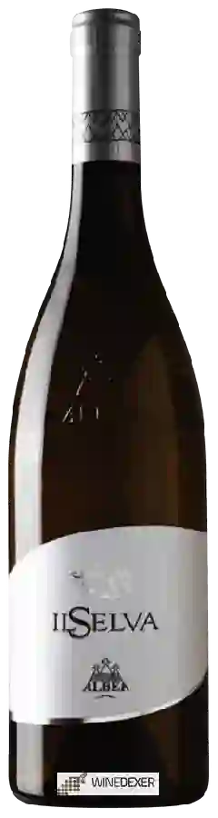 Winery Albea - IL Selva