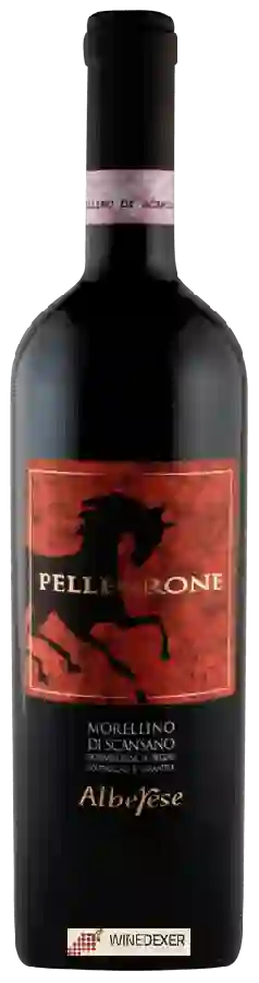 Winery Alberese - Pellegrone Winery Alberese - Pellegrone