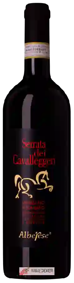 Winery Alberese - Serrata dei Cavalleggeri
