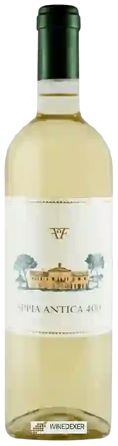 Winery Alberico - Appia Antica 400