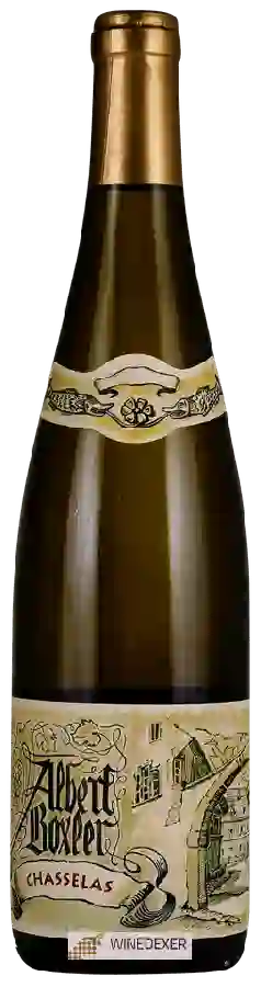 Winery Albert Boxler - Chasselas