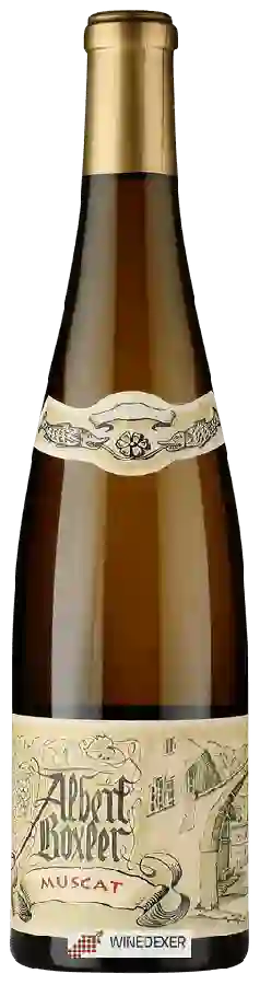 Winery Albert Boxler - Muscat Winery Albert Boxler - Muscat