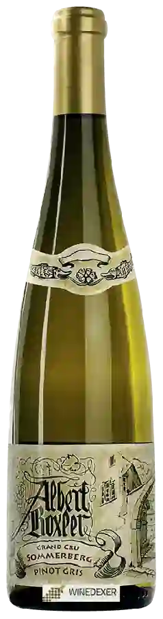 Winery Albert Boxler - Pinot Gris Alsace Grand Cru 'Sommerberg' Winery Albert Boxler - Pinot Gris Alsace Grand Cru 'Sommerberg'
