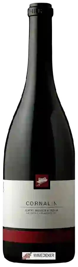 Winery Albert Mathier & Fils - Cornalin Winery Albert Mathier & Fils - Cornalin