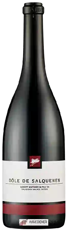 Winery Albert Mathier & Fils - Dôle de Salquenen Winery Albert Mathier & Fils - Dôle de Salquenen