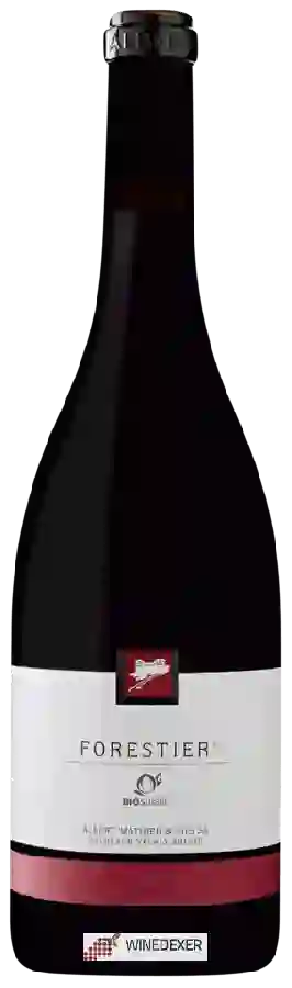 Winery Albert Mathier & Fils - Forestier