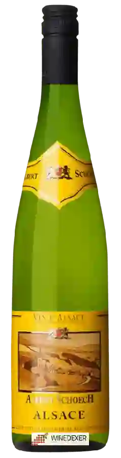 Winery Albert Schoech - Alsace