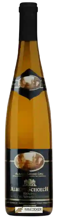 Winery Albert Schoech - Riesling Alsace Grand Cru 'Wineck-Schlossberg' Winery Albert Schoech - Riesling Alsace Grand Cru 'Wineck-Schlossberg'