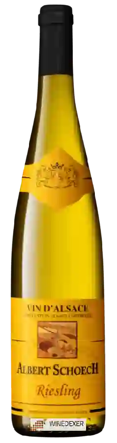 Winery Albert Schoech - Riesling