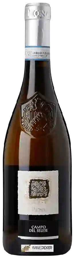 Winery Albino Piona - Campo del Selese Winery Albino Piona - Campo del Selese