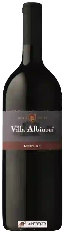 Winery Albinoni - Merlot