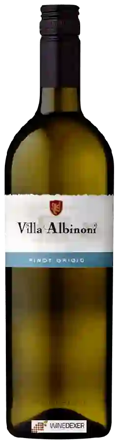 Winery Albinoni - Pinot Grigio