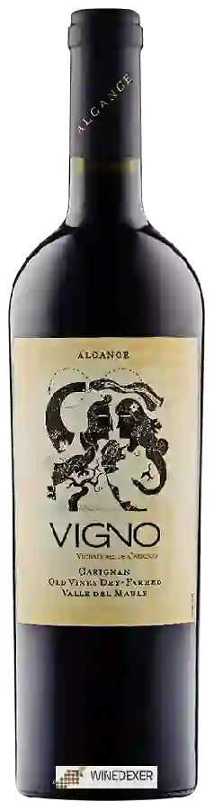 Winery Alcance - Vigno (Vignadores de Carignan) Carignan Winery Alcance - Vigno (Vignadores de Carignan) Carignan