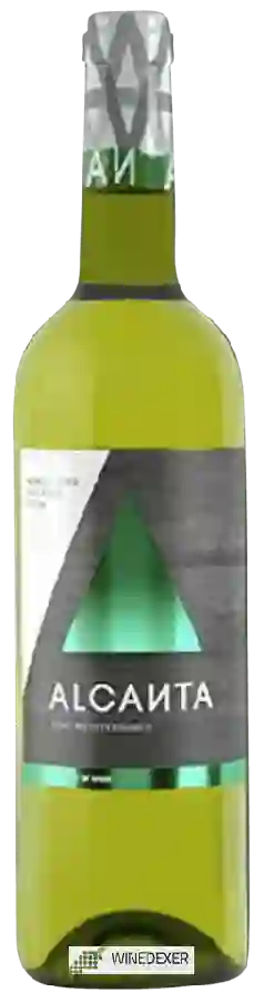 Winery Viña Alcanta - Merseguera - Macabeo White Semi Sweet
