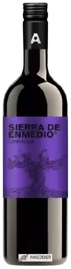 Winery Alceño - Sierra de Enmedio Garnacha