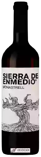 Winery Alceño - Sierra de Enmedio Monastrell