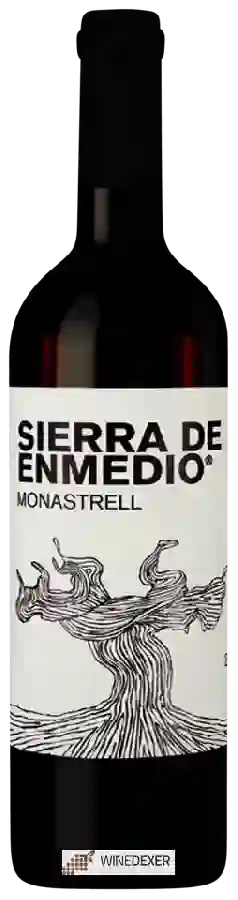 Winery Alceño - Sierra de Enmedio Monastrell