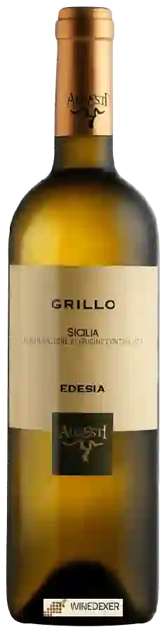 Winery Alcesti - Edesia Grillo