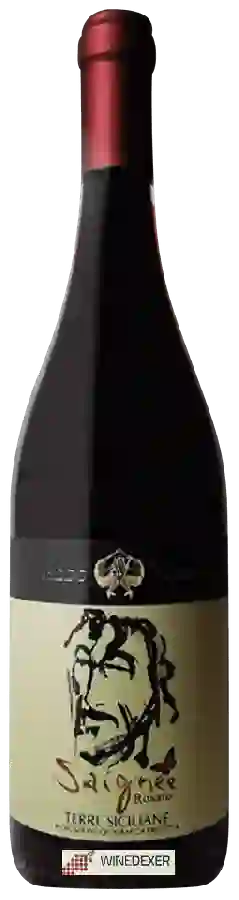 Winery Aldo Viola - Saignée Rosato