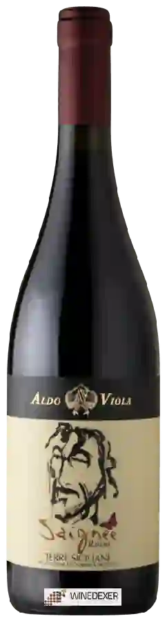 Winery Aldo Viola - Saignée Rosso