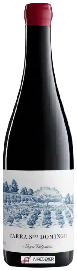 Winery Alegre Valgañón - Carra Sto Domingo