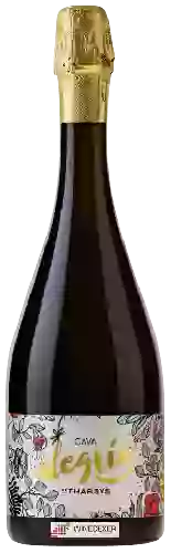 Winery Alegria de Tharsys - Cava Brut