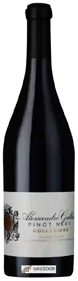 Winery Alessandro Gallici - Collezione Pinot Nero Winery Alessandro Gallici - Collezione Pinot Nero