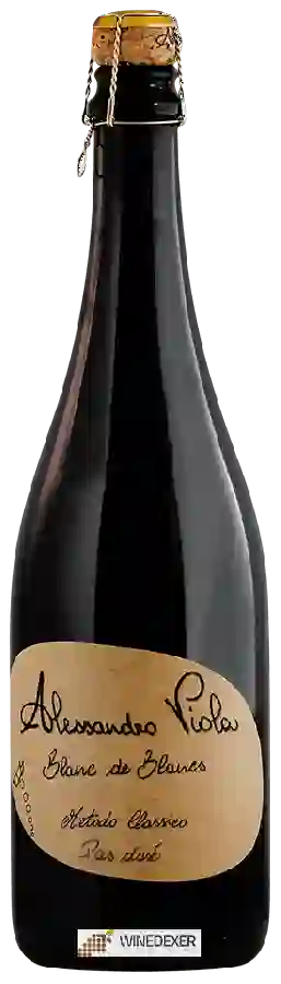Winery Alessandro Viola - Blanc de Blancs Pas Dosé
