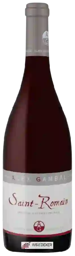 Winery Alex Gambal - Saint-Romain Rouge Winery Alex Gambal - Saint-Romain Rouge
