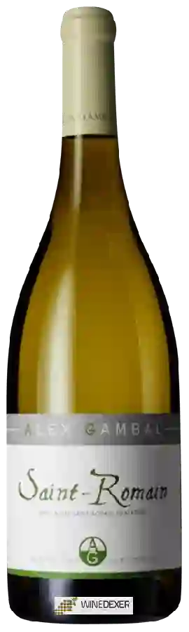 Winery Alex Gambal - Saint Romain
