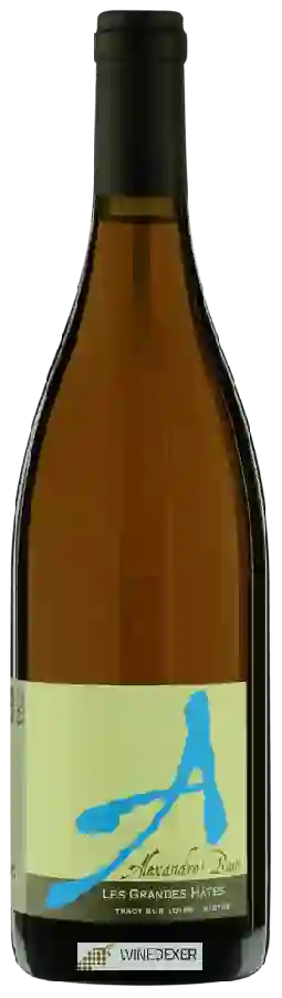 Winery Alexandre Bain - Les Grandes Hâtes
