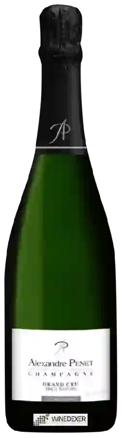 Winery Alexandre Penet - Brut Nature Champagne Grand Cru 'Verzy' Winery Alexandre Penet - Brut Nature Champagne Grand Cru 'Verzy'