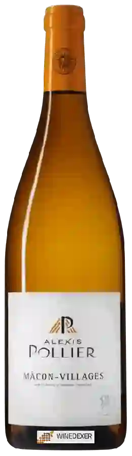 Winery Alexis Pollier - Mâcon-Villages