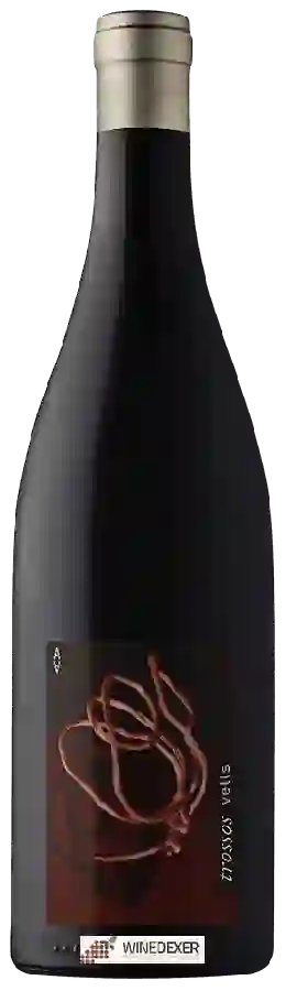 Winery Alfredo Arribas - Trossos Vells Winery Alfredo Arribas - Trossos Vells